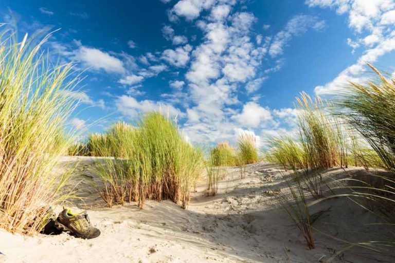 Insel Langeoog