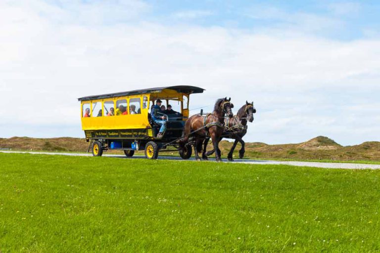 Insel Langeoog